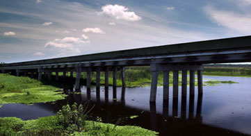 Bridge over Wetlands